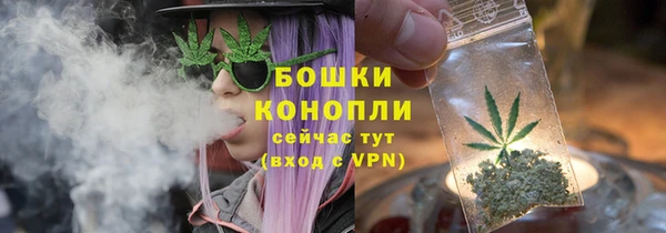 спиды Сосновка