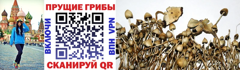Купить где  Хотьково  Галлюциногенные грибы ЛСД 